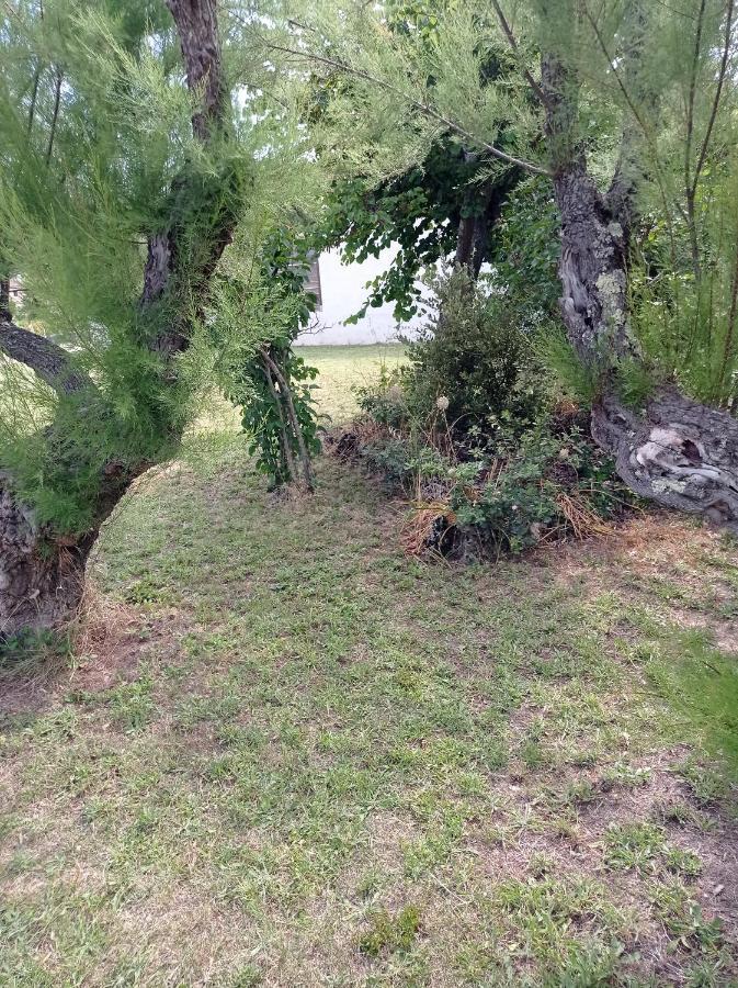 La Maison De Papou La Vigne A Nans Les Pins 83860 Eksteriør bilde