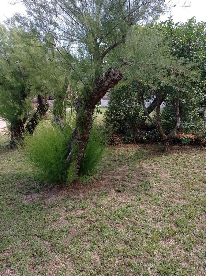 La Maison De Papou La Vigne A Nans Les Pins 83860 Eksteriør bilde